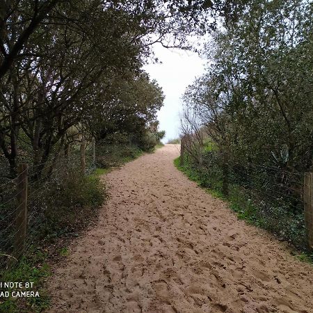 Logement 88 2-4 Personnes 500 M Plage Classe 2 Etoiles Dolus d'Oléron Exteriör bild