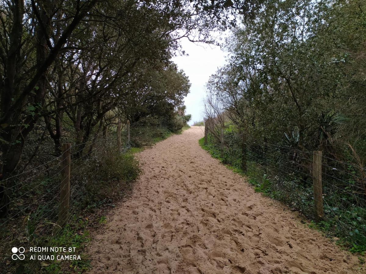 Logement 88 2-4 Personnes 500 M Plage Classe 2 Etoiles Dolus d'Oléron Exteriör bild